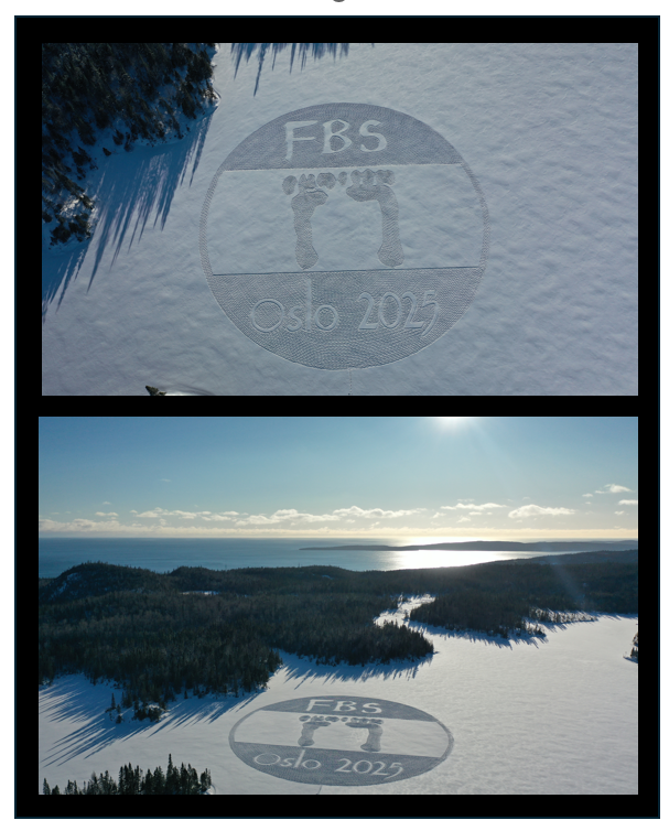 fbs33.jpeg