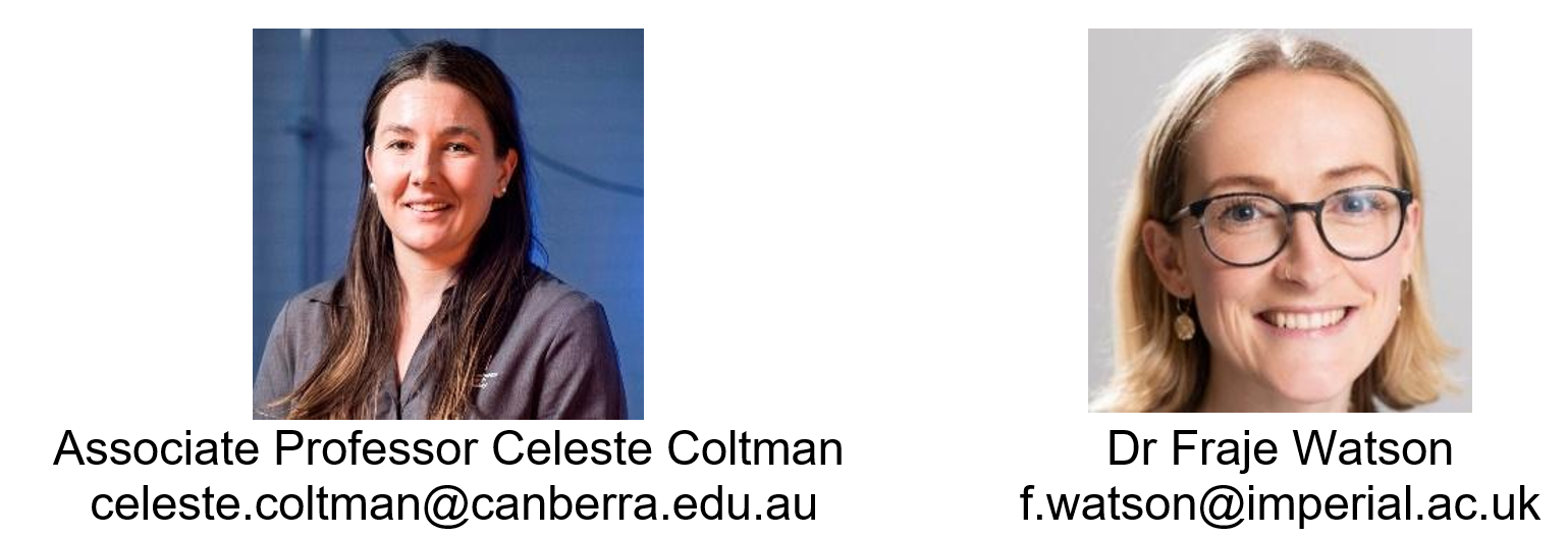 wiki_fraje_celeste.jpeg
